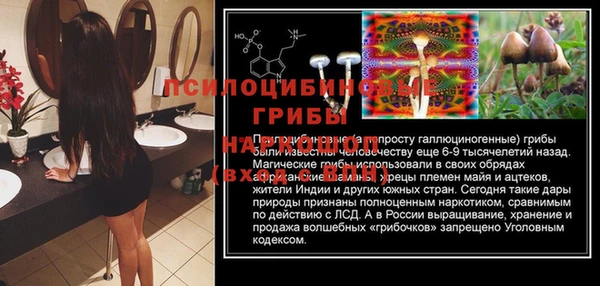MESCALINE Магас